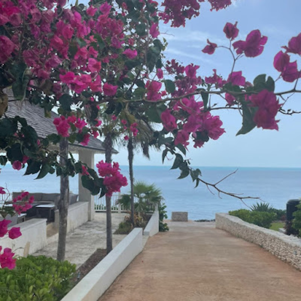 Meet your Posher, Avery